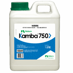 Kamba 750