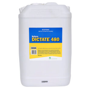Dictate 480