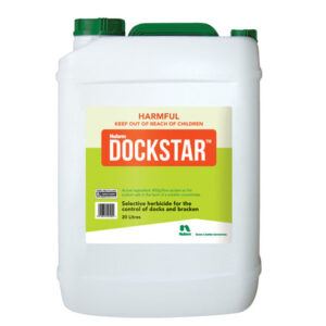 Dockstar