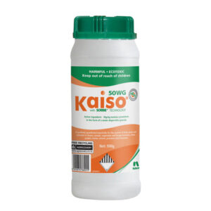 Kaiso 50WG