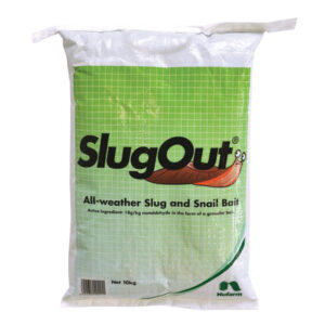 SlugOut