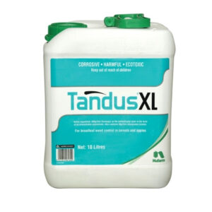 Tandus XL